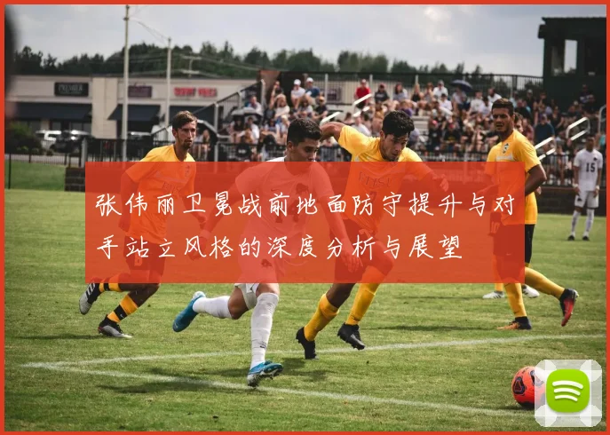 张伟丽卫冕战前地面防守提升与对手站立风格的深度分析与展望
