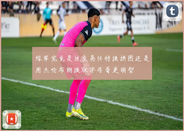 绿军究竟是该交易怀特换拼图还是用杰伦布朗换取字母哥更明智