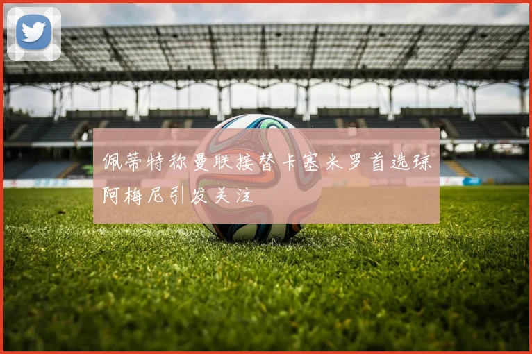 佩蒂特称曼联接替卡塞米罗首选琼阿梅尼引发关注