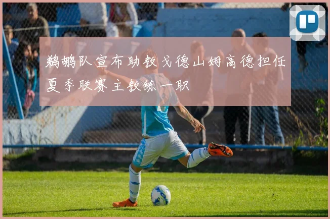 鹈鹕队宣布助教戈德山姆高德担任夏季联赛主教练一职