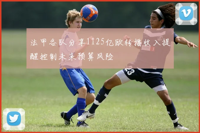法甲各队分享1125亿欧转播收入提醒控制未来预算风险