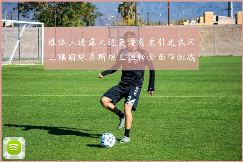 媒体人透露大连英博有意引进武汉三镇前球员斯坦丘但转会面临挑战