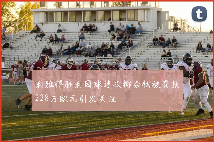 利雅得胜利因球迷投掷杂物被罚款228万欧元引发关注